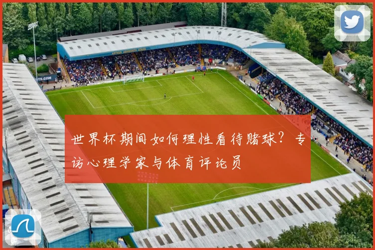 世界杯期间如何理性看待赌球？专访心理学家与体育评论员