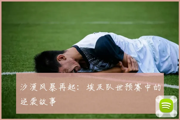 沙漠风暴再起：埃及队世预赛中的逆袭故事